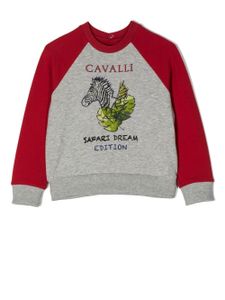 Roberto Cavalli Junior sweat à imprimé graphique - Rouge