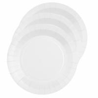 10x stuks feest gebaksbordjes wit - karton - 17 cm - rond - thumbnail