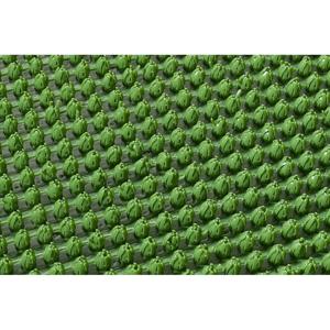 Siena HOME 402-1-402-004 Isola Voetenmat (l x b x h) 60 x 40 x 1.2 cm Buiten Groen