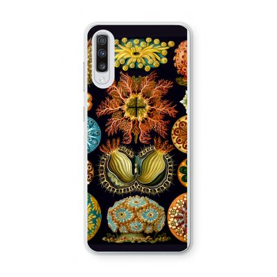 Haeckel Ascidiae: Samsung Galaxy A70 Transparant Hoesje