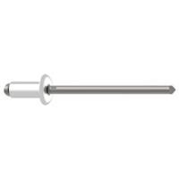 Gesipa 1433487 Popnagel (Ø x l) 4 mm x 10 mm Staal Aluminium Aluminium Blindniet Al/St 4x10mm Standard KS 5,0-6,5mm 500 stuk(s)