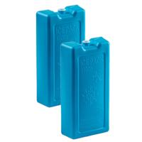 Plasticforte koelelementen - 4x stuks - 1100 ml - 22 x 11 x 5 cm - blauw - kunststof
