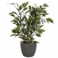 Groen/witte ficus kunstplant 40 cm met plantenpot mat antraciet grijs D13.5 en H12.5 cm - Kunstplanten - thumbnail