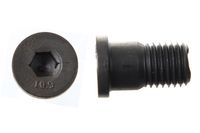 Universal NK - thumbnail