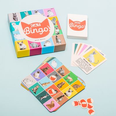 Huisdier bingo - Kat