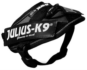 Julius K9 idc power-harnas / tuig voor labels zwart