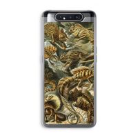 Haeckel Lacertilia: Samsung Galaxy A80 Transparant Hoesje