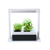 Gebor - Kruidentuintje – Moestuin Voor Binnen – Keuken Moestuin – Keuken Plantenpotjes – Led Lamp – Wit En Zwart - thumbnail