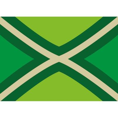 Vlag van Achterhoek stickers - 5x - 7.5 x 10 cm - Binnen/buiten Vlag van Achterhoek stickers - 5x - 7.5 x 10 cm - Binnen/buiten