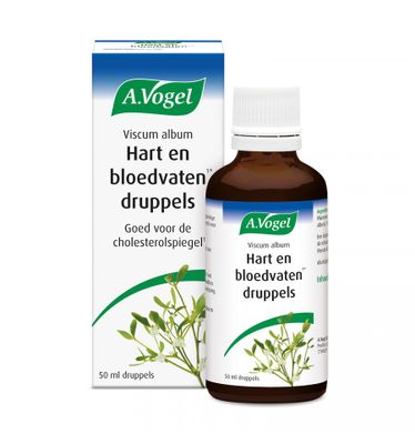 Viscum album hart & bloedvaten