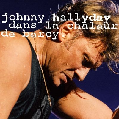 Dans La Chaleur De Bercy 91 (Live) - LP (0600753868478) Dans La Chaleur De Bercy 91 (Live) - LP (0600753868478)