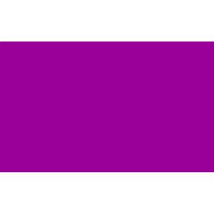 Kleuren thema vlag - paars - 150 x 90 cm - polyester
