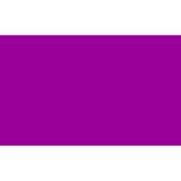 Kleuren thema vlag - paars - 150 x 90 cm - polyester