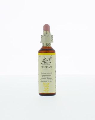 Bach Gentian/gentiaan