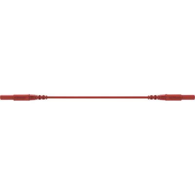 Schützinger MSFK A341 / 1 / 100 / RT Veiligheidsmeetsnoer Stekker Stekker 100 cm Rood 1 stuk(s)