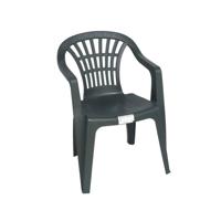 Stoel voor buiten/binnen - tuinstoelen - donkergroen - 50 x 54 x 76 cm - stevig kunststof
