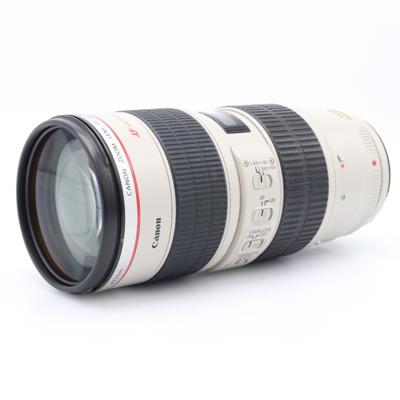 Canon EF 70-200mm F/2.8 L IS USM occasion