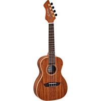 Ortega Horizon Series RUWN concert ukelele met gigbag