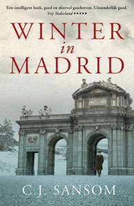 Winter in Madrid (Paperback)