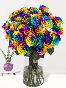 30 regenboog rozen