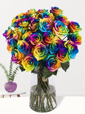 30 regenboog rozen