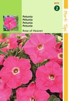 Petunia Hybr.Nana Comp. Hemelroosje - Hortitops Petunia Hybr.Nana Comp. Hemelroosje - Hortitops