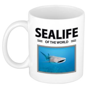 Walvishaai mok met dieren foto sealife of the world