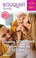 Schattig souvenir / Vlucht voor de storm - Jessica Gilmore, Roxann Delaney - ebook