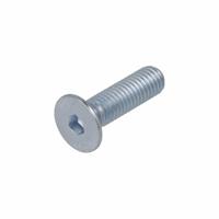 Inbusschroef 8.8 vz pk M5x25mm DIN7991
