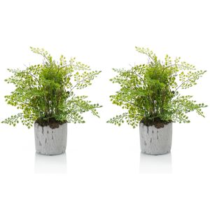 Set van 2x stuks groene kunstplanten varen 30 cm