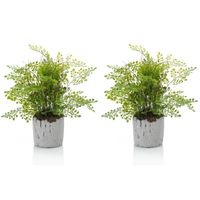 Set van 2x stuks groene kunstplanten varen 30 cm - thumbnail