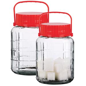 Voedsel opslag container - 2x - glas - 3 liter - afsluitdop en draag hengsel - transparant - voorraa