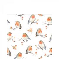 Ambiente Servetten Robin Family 25x25cm - thumbnail