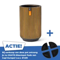 Vaas Hoog Groove 14x22 Zwart Goud