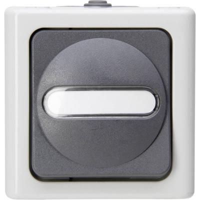 Kopp 560656006 BlueElectric Compleet Uitschakelaar, Wisselschakelaar spatwaterdicht Grijs 1 stuks 1 stuk(s)
