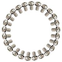 ANP BOUT M5X10 TORX M/PLAAT RVS DS A 25