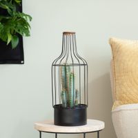 Cactus in zwart metalen fles