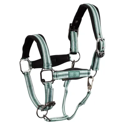 BR Elvis Halster donkergroen maat:shetl