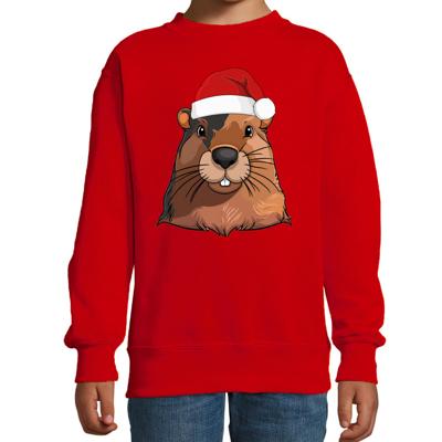 Kersttrui / sweater familie Bever - kinderen - dieren - rood - kerstmuts - Kerstmis