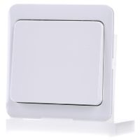 D 80.420.02  - Cover plate for dimmer white D 80.420.02
