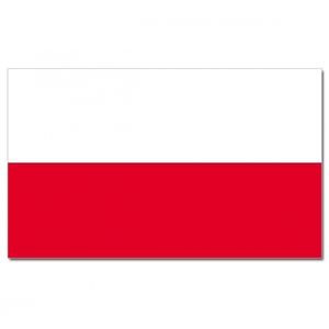 Landen thema vlag Polen 90 x 150 cm feestversiering