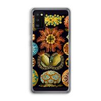 Haeckel Ascidiae: Samsung Galaxy A41 Transparant Hoesje