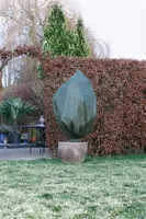 Nature Winterafdekhoes Koord h1.50d1m groen - thumbnail