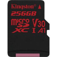 Canvas React microSDXC 256GB