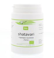 Surya Shatavari churna bio Surya Shatavari churna bio