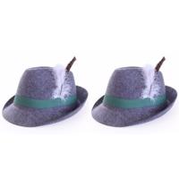 Tiroler hoedje Anton - 2x stuks - Bayern/Oktoberfest verkleedaccessoire - grijs - volwassenen