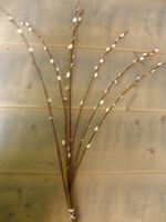 Kerstgroen Katjes Warentuin Natuurlijk - Warentuin natuurlijk