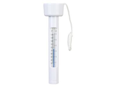CRIVIT Zwembadaccessoires (Thermometer)