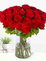30 rode rozen XL - Red Naomi