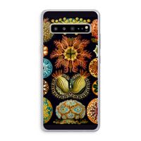 Haeckel Ascidiae: Samsung Galaxy S10 5G Transparant Hoesje